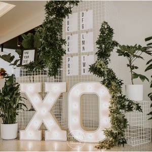 Pop-Up Gardens || Emilie Porterfield