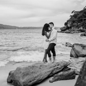 Shark Beach PROPOSAL